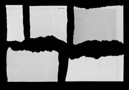 Pieces of torn paper on black