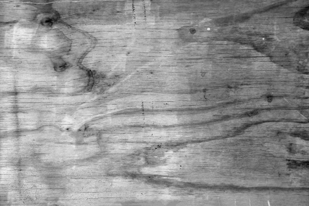 Closeup of grey wood backgroundの写真素材