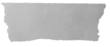 Piece of torn paper on plain background 