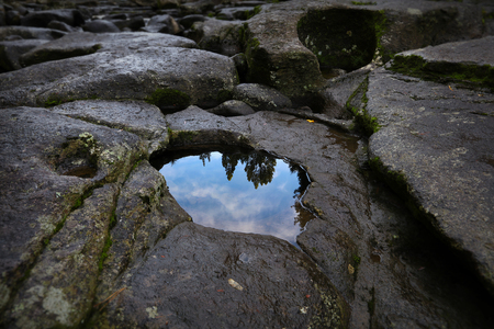 Reflection of trees in rock poolの写真素材