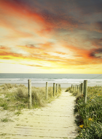 Pathway leading to the beachの写真素材