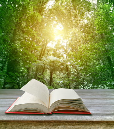 Open book on table in front of forestの写真素材