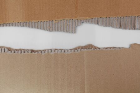 Ripped edges on corrugated cardboard. Copy spaceの写真素材