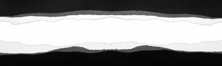 Ripped paper on plain background, space for copy