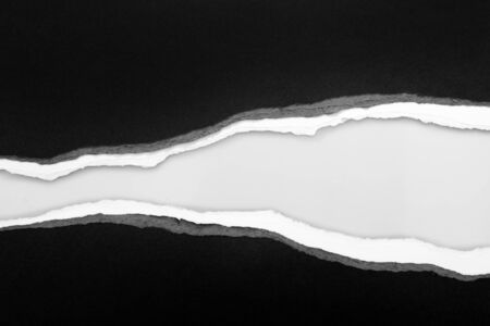 Ripped paper on plain background, space for copyの写真素材