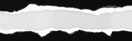 Ripped black paper on plain background, space for copyの写真素材