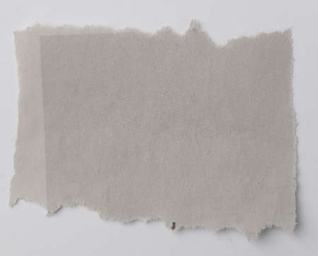 One piece of ripped white paperの写真素材