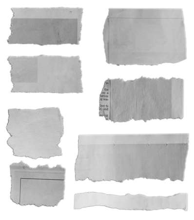 Eight pieces of torn paper on plain backgroundの写真素材