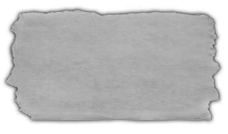 One piece of ripped paper on whiteの写真素材