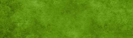Close-up of green textured concrete backgroundの写真素材