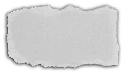 One piece of ripped paper on whiteの写真素材
