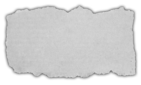 One piece of ripped paper on whiteの写真素材