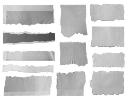 Twelve pieces of torn paper on plain backgroundの写真素材