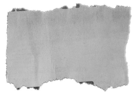 One piece of ripped paper on whiteの写真素材