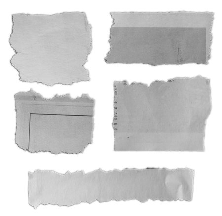 Five pieces of torn paper on plain backgroundの写真素材