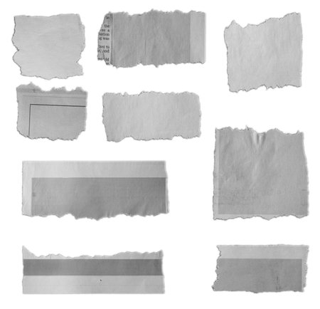 Nine pieces of torn paper on plain backgroundの写真素材