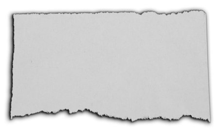 One piece of ripped paper on whiteの写真素材