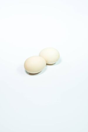 eggの写真素材