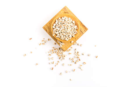 Barley  の写真素材