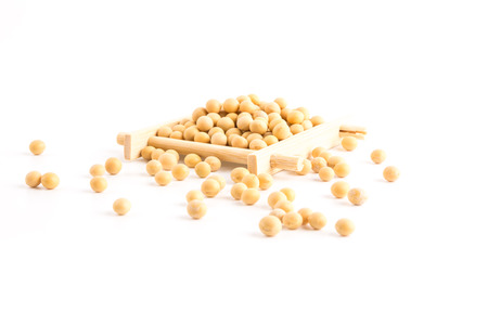 Soybeanの写真素材