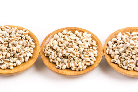 Barleyの写真素材