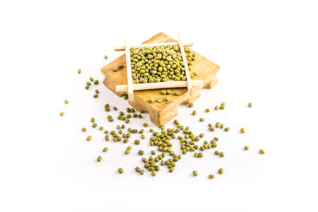 green gramの写真素材