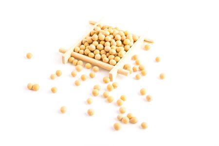 Soybeanの写真素材