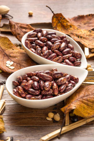 kidney bean 