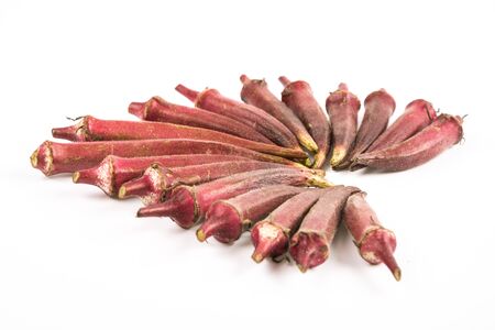 Red Velvet Okra (Abelmoschus esculentus)の写真素材