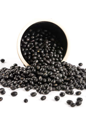 black bean