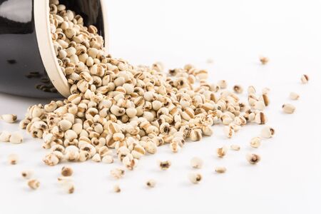 Barleyの写真素材