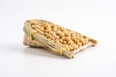 soybean isolated on white backgroundの写真素材