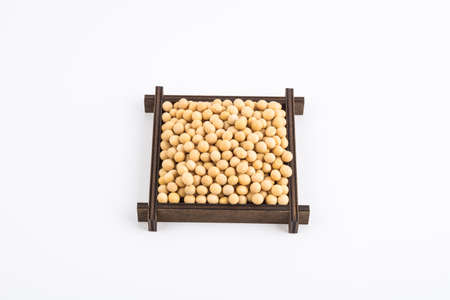 soybean isolated on white backgroundの写真素材