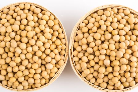 soybean isolated on white background