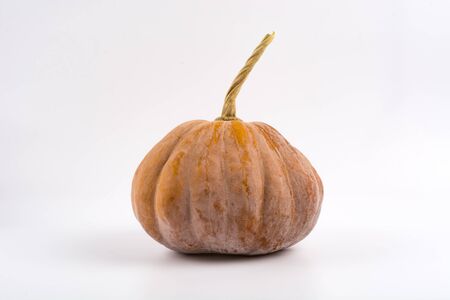 Pumpkin on white background 