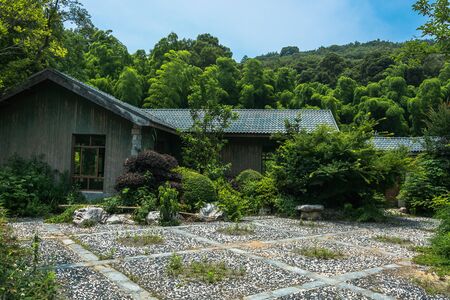 Green grass on a golf fieldの写真素材