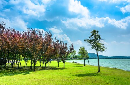 Summer park roadの写真素材