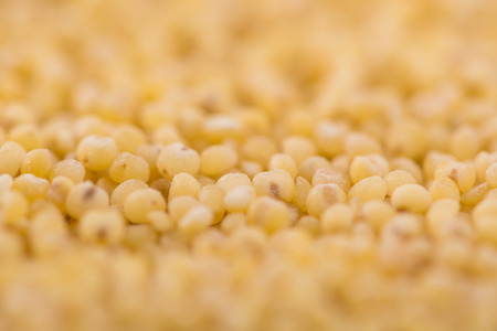 Yellow millet backgroundの写真素材