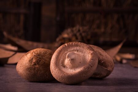 mushroom