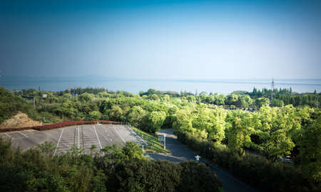 Tree by a lakeの写真素材