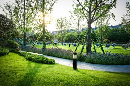Beautiful panorama of green city park at dawnの写真素材