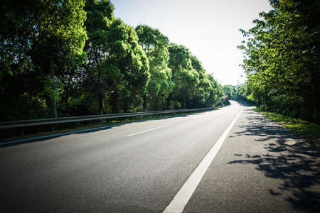 Summer Country Road
