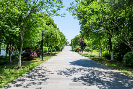 walkway in garden at bangkok,Thailandの写真素材