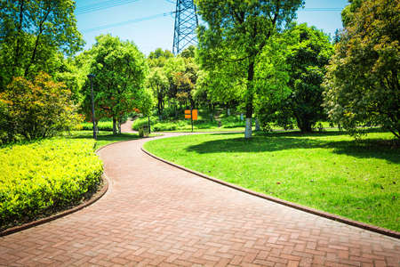 Beautiful city parkの写真素材