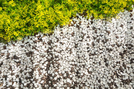 White stone background (texture)