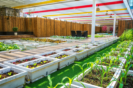 A covered lifestyle garden with indoor and outdoor livingのeditorial素材