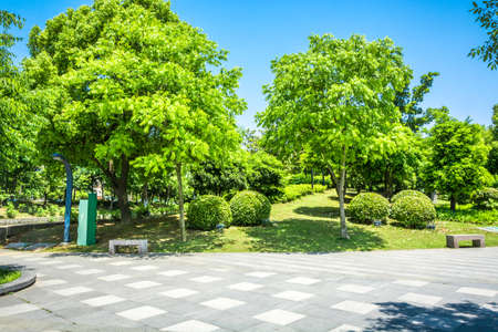 City parkの写真素材