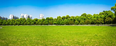 city and grass with blue skyの写真素材