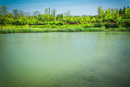 park scenery