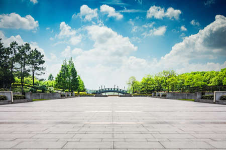The parkの写真素材